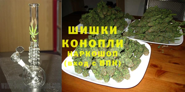 первитин Богданович