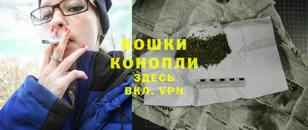 ECSTASY Богородск