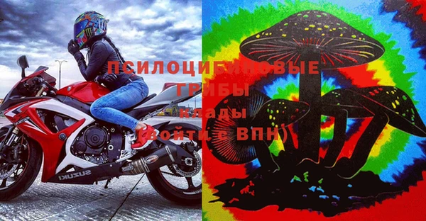 первитин Богданович